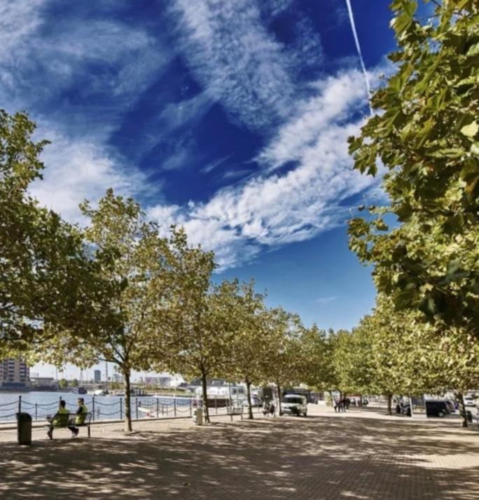 شقة لندن  في Lovely Waterfront Flat Canary Wharf Excel Centre المظهر الخارجي الصورة